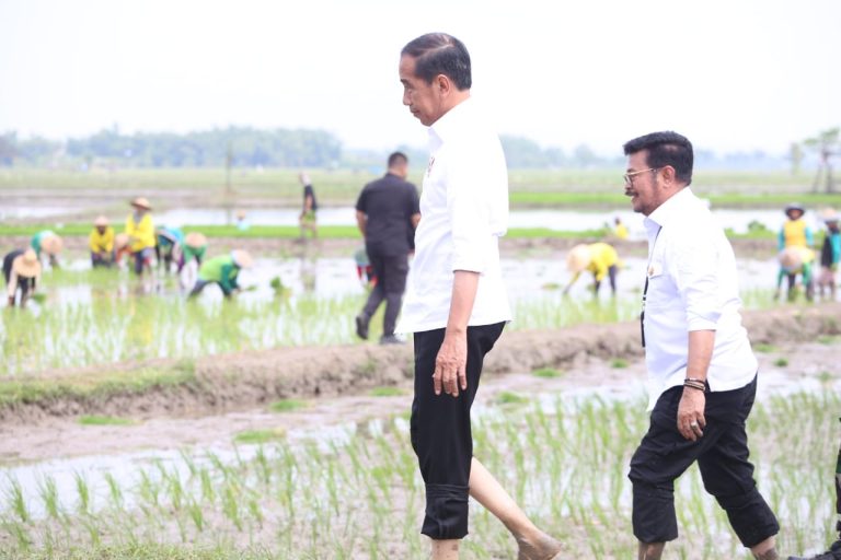Presiden Jokowi didampingi Menteri Pertanian Syahrul Yasin Limpo (Mentan SYL) melakukan tanam padi di Desa Senori, Kecamatan Merakurak, Kabupaten Tuban, Jawa Timur.