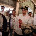 Wakil Menteri Pertanian (Wamentan), Harvick Hasnul Qolbi saat meninjau BSIP Unggas dan Aneka Ternak di Ciawi, Bogor.
