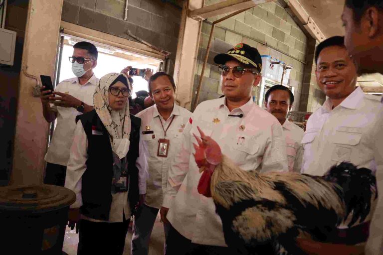 Wakil Menteri Pertanian (Wamentan), Harvick Hasnul Qolbi saat meninjau BSIP Unggas dan Aneka Ternak di Ciawi, Bogor.