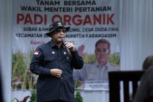 Wakil Menteri Pertanian (Wamentan), Harvick Hasnul Qolbi saat usai tanam padi organik di Kabupaten Karangasem, Bali, Kamis (6/7/2023). Foto: Fajar/Kementan
