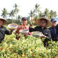 Kendalikan Inflasi, Mentan SYL Dukung Penuh Pengembangan Cabai di Lombok Timur