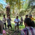 Kementan Sigap Antisipasi El Nino Demi Jaga Keberlanjutan Produksi Tanaman Perkebunan