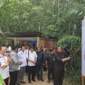 PSR untuk Tingkatkan Produktivitas Kelapa Sawit Rakyat di Batu Bara, Sumut