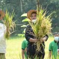 Kementan Terus Dorong Wujudkan Pertanian Berkelanjutan Untuk Kedaulatan Pangan
