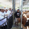 Dari Boyolali, Mentan SYL Ajak Para Peternak Indonesia Perkuat Hilirisasi
