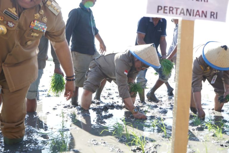 Menteri Pertanian Syahrul Yasin Limpo (Mentan SYL) bersama Anggota DPR RI, Indira Chunda Thita dan Bupati Bone, Andi Fahsar Mahdin Padjalangi melakukan kick off Gerakan Nasional (Gernas) Antisipasi Dampak El Nino di Kabupaten Bone.