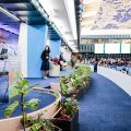 Mentan SYL Menuju Roma Hadiri Konferensi Global Transformasi Peternakan Berkelanjutan