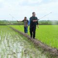 Kementan Dorong Pengembangan Pertanian Organik