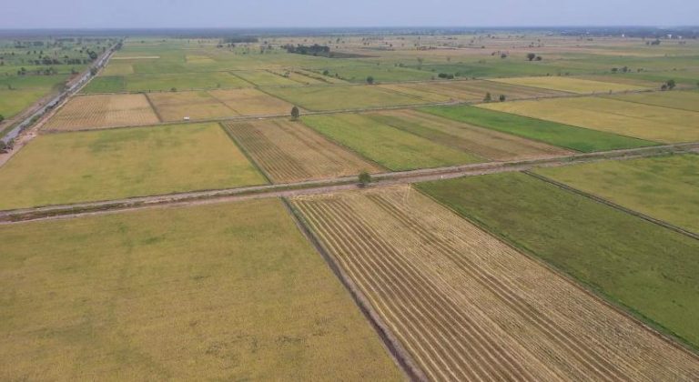 Lahan Food Estate