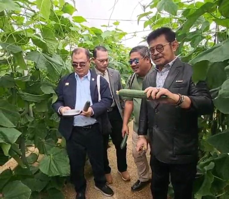 Menteri Pertanian, Syahrul Yasin Limpo (Mentan SYL) mengunjungi salah satu lokasi pertanian yang berada di Almeria, Spanyol (24/9).