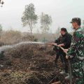 Kementan Terjun Padamkan Kebakaran Lahan Sawit di Kalsel