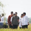 Setelah Subang, Plt. Mentan Dampingi Presiden Jokowi Panen Raya di Indramayu