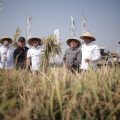 Plt Mentan Dorong Pembangunan Ekosistem Pangan Nasional