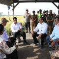 Mentan Amran Libatkan Anak Muda dan Penyuluh Untuk Optimalkan Lahan Rawa