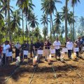 Kementan Genjot Produksi Jagung Manfaatkan Kebun Kelapa