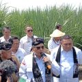 Wamentan Ungkap Langkah Kongkrit Genjot Produksi untuk Swasembada Gula Nasional