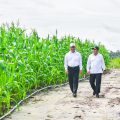 Mentan dan Wamenhan Kunjungi Gunung Mas, Pastikan Food Estate Berjalan Baik
