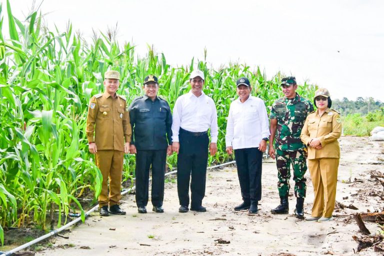 Menteri Pertanian (Mentan) Andi Amran Sulaiman
