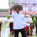 Kementan Gelar Gerakan Tanam Padi Pacu Akselerasi Food Estate di Pulpis Kalteng
