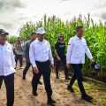 Wamenhan Berterimakasih Pada Mentan Amran Bantu Tangani Food Estate Gunung Mas