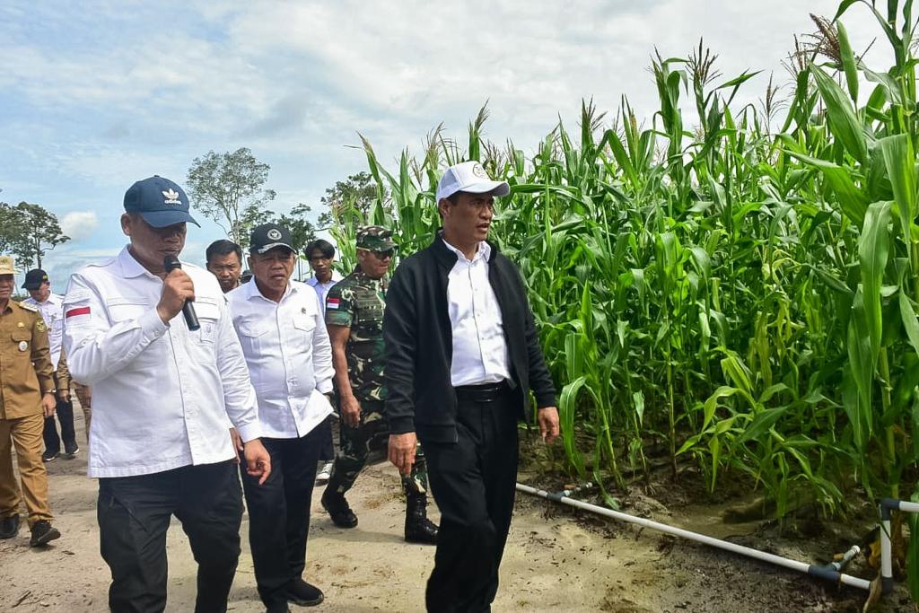 Menteri Pertanian (Mentan) Andi Amran Sulaiman