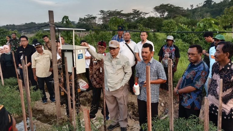 Wakil Menteri Pertanian (Wamentan), Harvick Hasnul Qolbi usai panen cabai dan tomat di Distrik Mariat, Kabupaten Sorong, Kamis (28/12/2023).